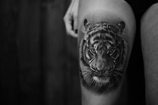 татуировка животные