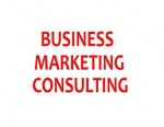 Business Marketing Consulting
