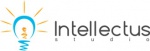 IT компания «Intellectus-Studio»