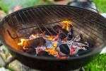 Какие блюда можно готовить на гриле кроме мяса и овощей