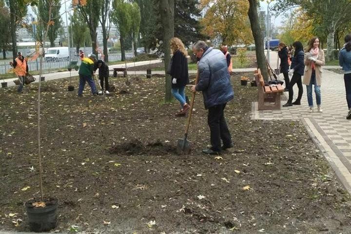 На Русановской набережной высадили 15 кленов