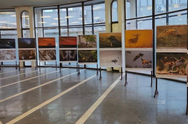 На станции «Золотые ворота» проходит выставка лучших фотографий природы