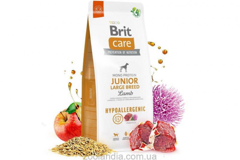 Полноценное питание для вашего питомца: почему стоит выбрать корм Brit с ягнёнком