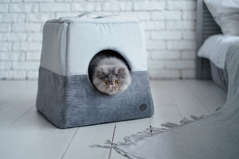 Выбираем домики для кошек: на что обратить внимание при покупке?