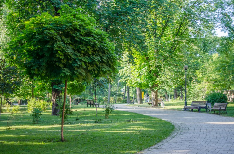 В Соломенском районе обустроят еще один сквер 