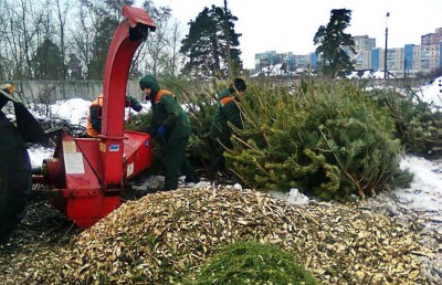 В Киеве появились пункты приема елок (список адресов) 