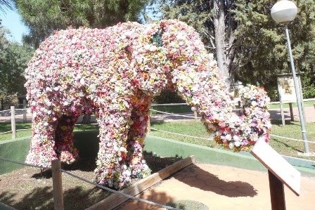 На Певческом поле появятся 3D-животные из цветов