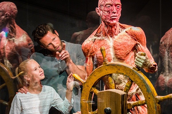 У киевлян есть возможность бесплатно посетить уникальную  выставку Body Worlds