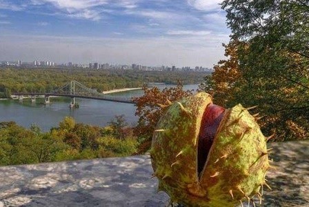Сентябрь в Киеве побил 100-летний рекорд