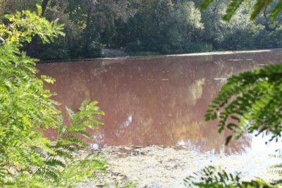 Экобеда в Киеве: река Коник окрасилась в коричневый цвет 