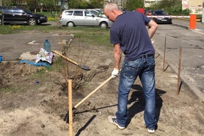 Герой соцсетей: житель Позняков сам посадил дерево у дома