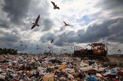 На Оболони экологи обнаружили свалку опасных отходов