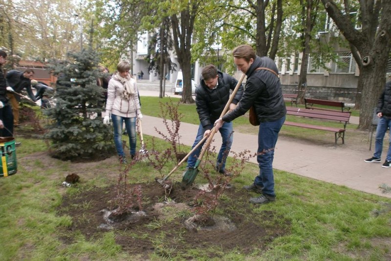 В этом году в Киеве высадили 15 тысяч зеленых насаждений