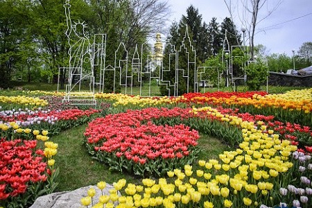 На Певческом поле пройдет юбилейная выставка тюльпанов