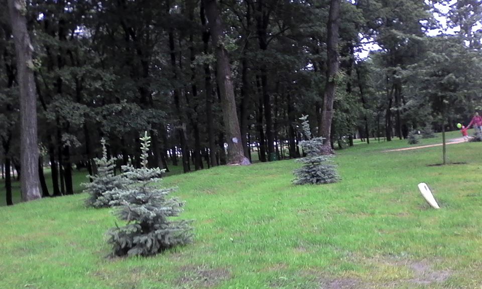деревья парк наталка