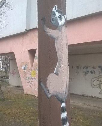енот