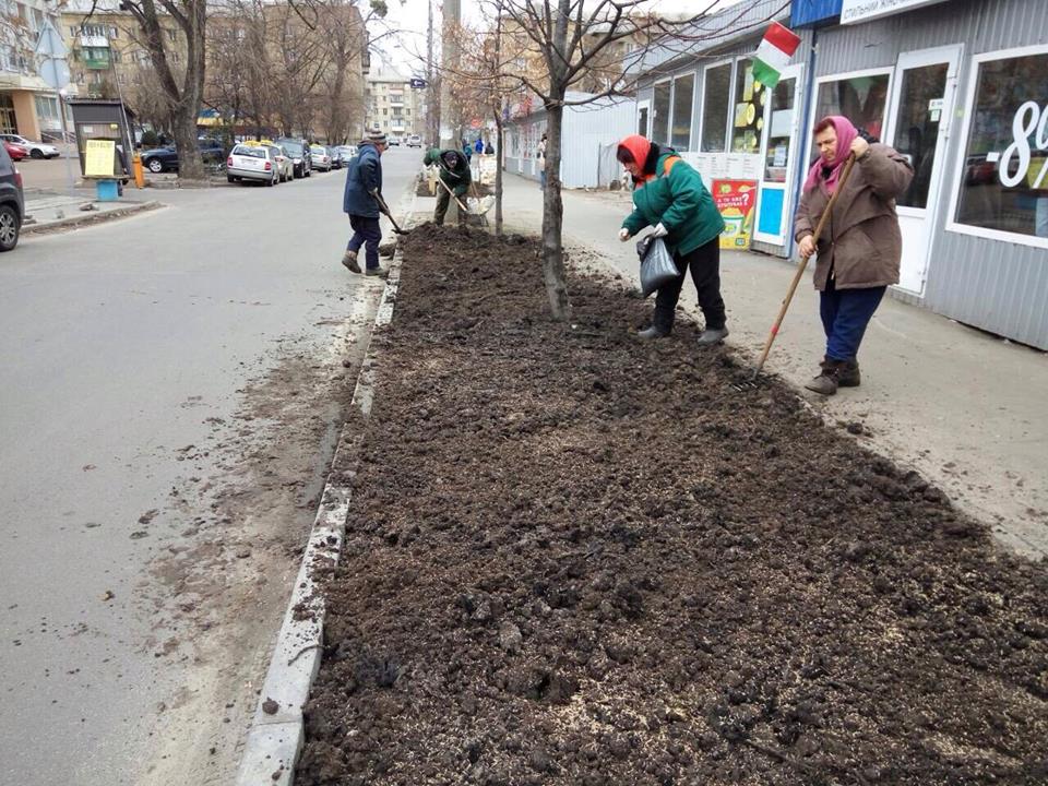 газоны