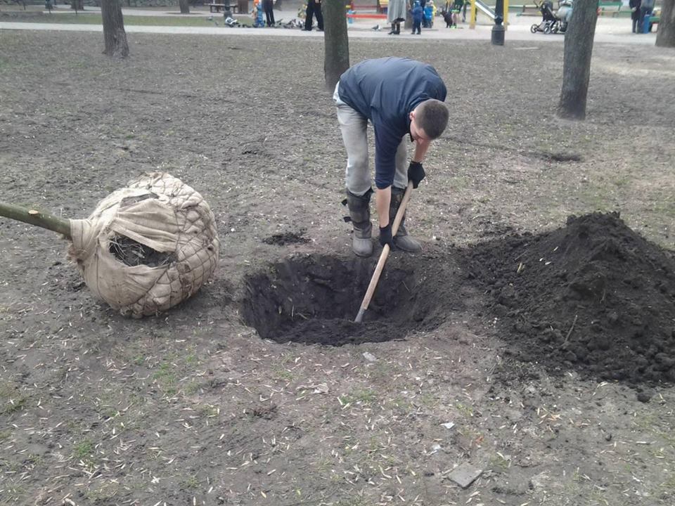 лунки