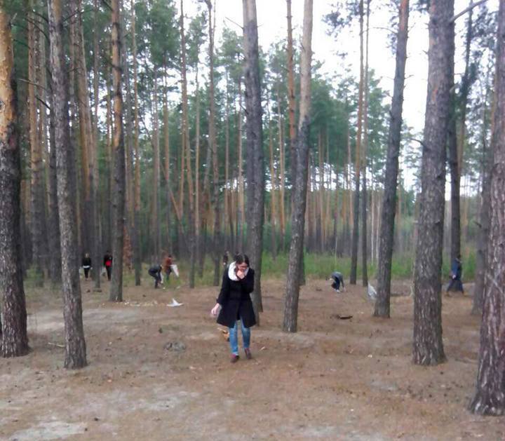 толока