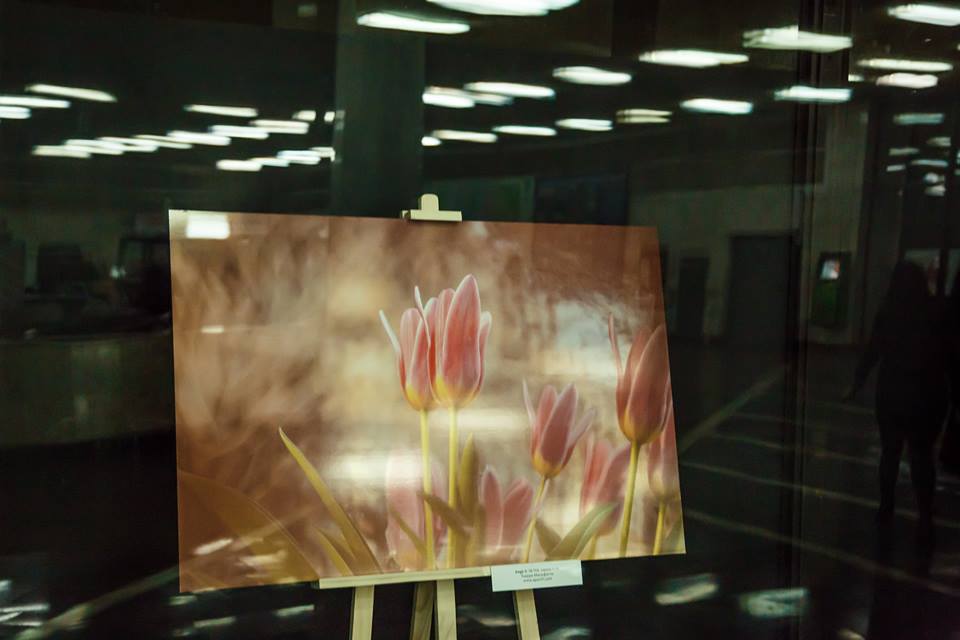 фотовыставка