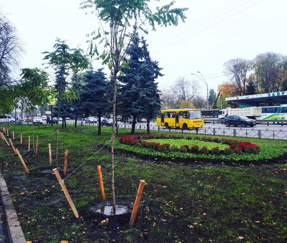 зеленая зона