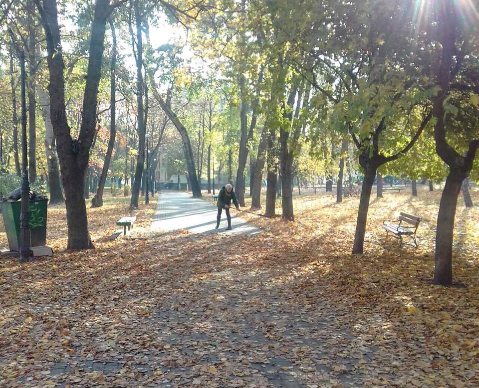 куреневский парк