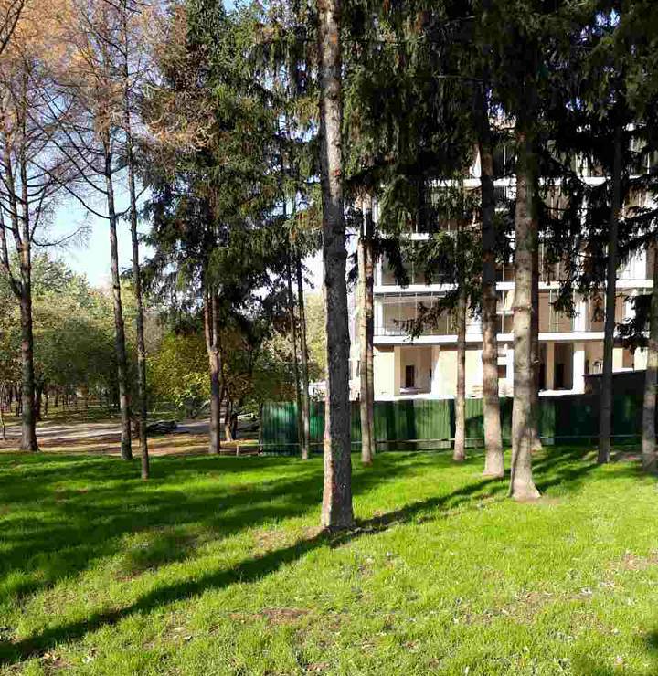 парк юность