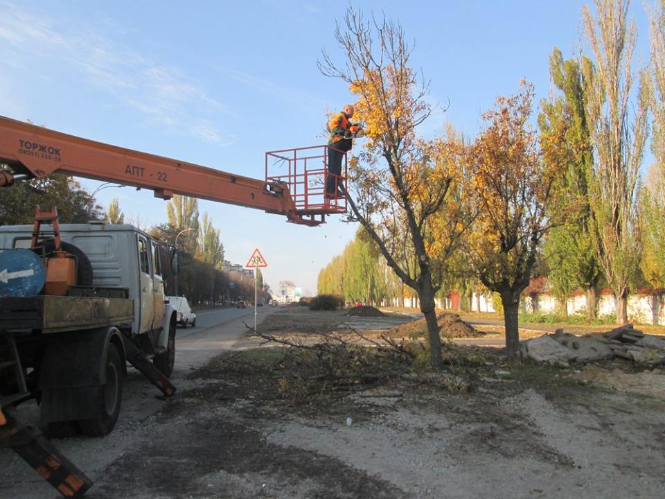 сквер