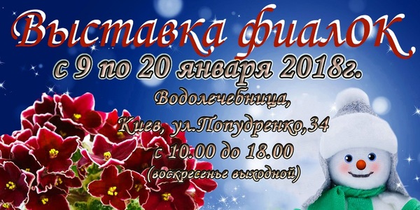 выставка