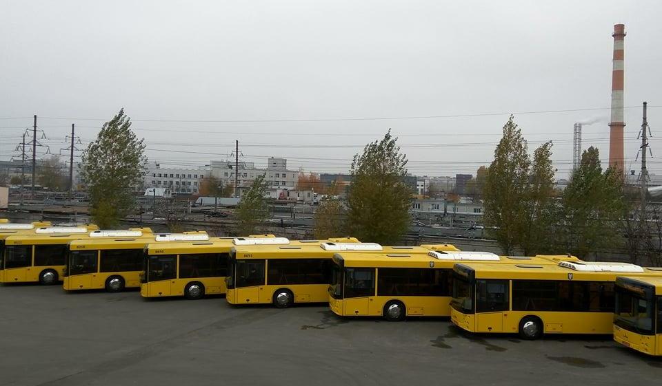 автобусы