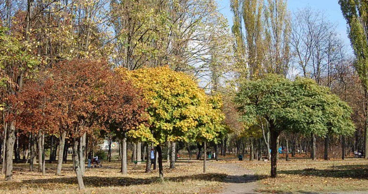парк юность