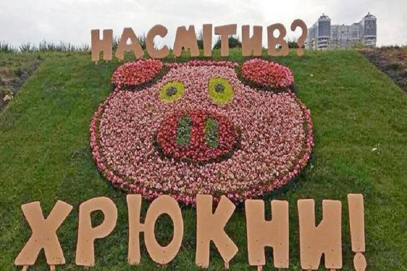 2018-07-02-nasmityv-hryukny