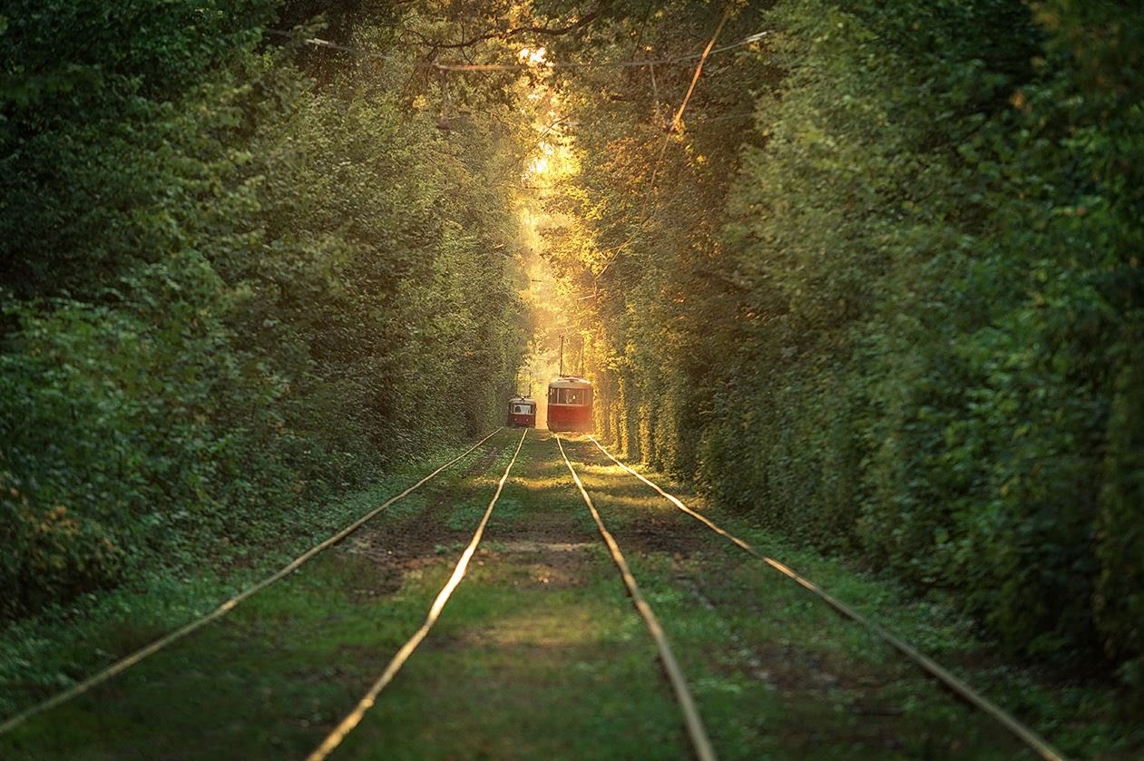 2018-07-02-tramvaynaya-ekskursiya-deti2