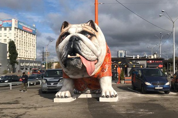 бульдог