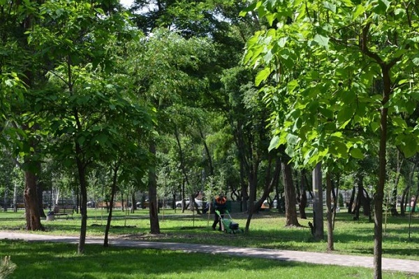 парк