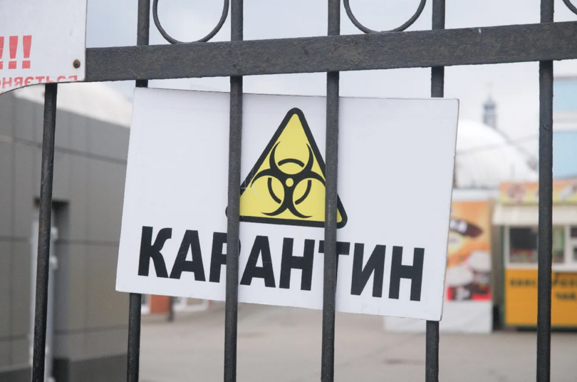 карантин